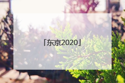 「东京2020」东京2020奥运会游戏 switch